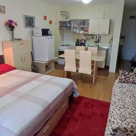 Apartament привилидж первая линия Święty Włas